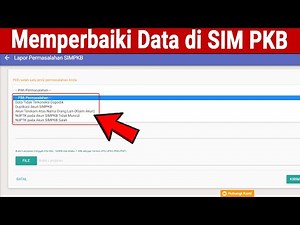 Solutions or Ways to Repair Data in SIM PKB
