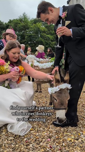 Tinky and Turlough's Memorable Wedding Adventure