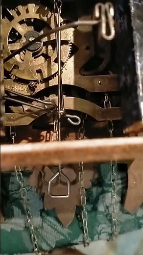 Cuckoo clock intricate, fix it fix it 1 chain off track, bellows/whistle need wire n fixed?