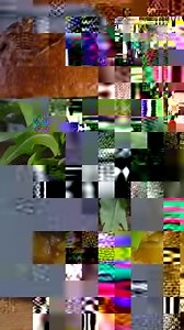 113 reactions | RiceSelect® Arborio is the risotto rice. It's silky texture and al dente bite make it the perfect pairing for the season. Plus, it's certified gluten free and low in fat. | RiceSelect | Facebook