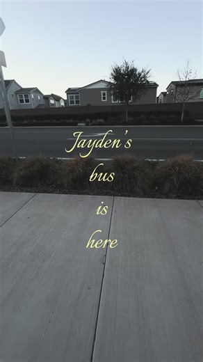 Jayden’s Bus Arrives - A Humorous Encounter