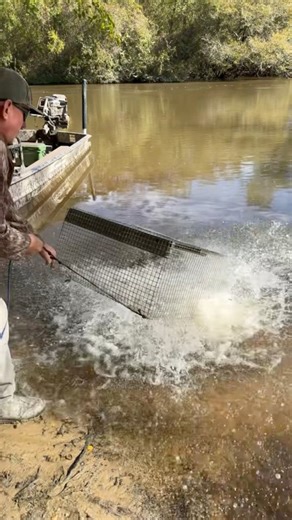 300lbs of fish in one trap! #fishing #trapping #diy #fyp #insane | BlueGabe