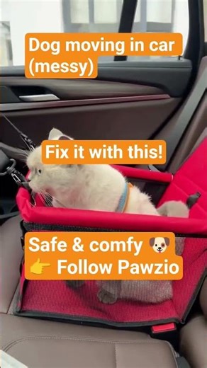 Travel With Your Dog Safely 🇦🇺 Pet Car Seat