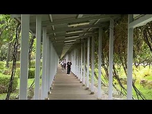 Walking tour to Marina Bay Cruise Centre ( MBCCS), Singapore