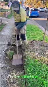 Cleaning | Pressure Washing | Trimming | Edging | Cutting | Raking #shorts #satisfying #gardening