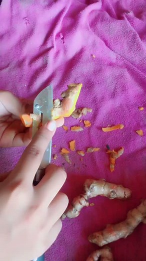 គណនីដែលបានណែនាំ