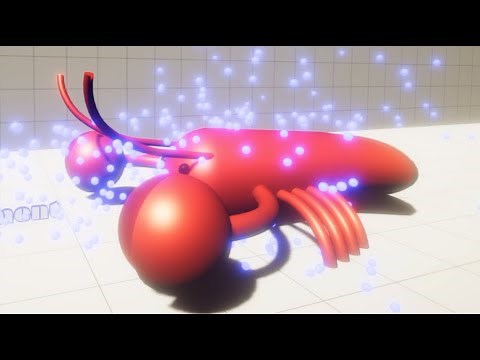 Aerodynamics of a Lobster