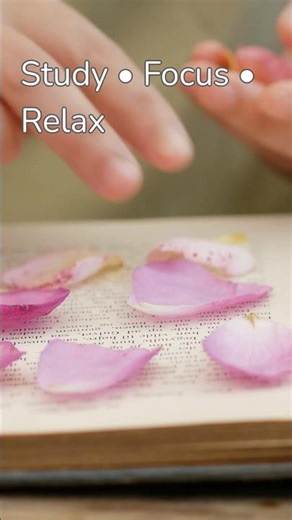 Romantic Chill Beats for Studying & Deep Focus #shortfeed #relaxingsoundscapes #relaxationmusic