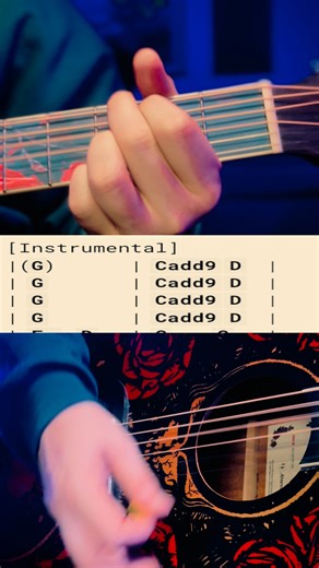 Good Riddance (Time of Your Life) – Green Day. 🍃 Simple, emotional, and timeless — a song that never fades. Follow for more classic acoustic riffs! #GreenDay #GoodRiddance #TimeOfYourLife #GuitarReels #AcousticGuitar #HalfspunGuitars #PopPunk #90sRock #musiccommunity | Halfspunguitar