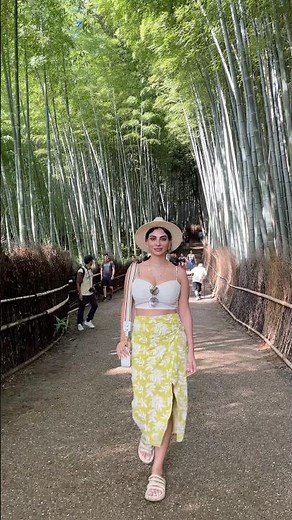 Bamboo forest in Kyoto Japan 🇯🇵