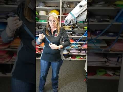 Running Martingale differences and rein stops