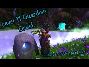 Level 11 Guardian Druid Speed Run Ruby Life Pools (Cleared 5:22)