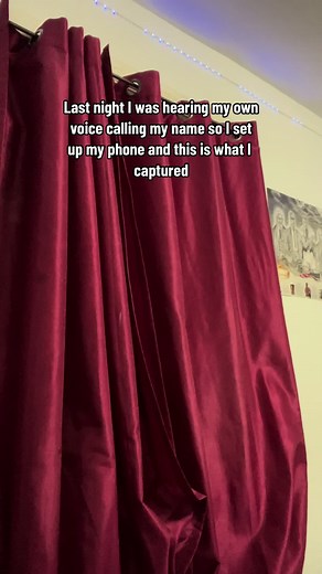 Mimic Encounters: Real-Life Captures and Chilling Moments