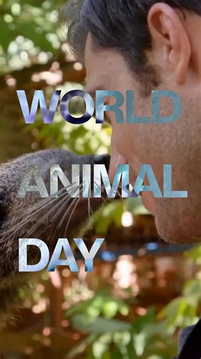 World Animal Day is a reminder of why I do what I do, to inspire hope and protect the incredible animals we share this planet with. Whether it’s through conservation, education, or the way we treat our pets at home, every action matters. 🌍💚 #worldanimalday | Dr. Evan Antin