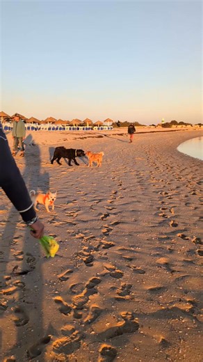 Maria Segura Ferreira on Reels