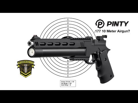 Pinty Buster - 10 Meter Airgun? Does It Pass The Test