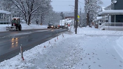 Pepco explains how a DC sidewalk electrocuted a Labrador Retriever; dog owner calls for change
