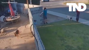 California police are turning to the community for help after a man was caught on camera pepper spraying a dog in its own backyard. READ MORE: https://thenationaldesk.com/top-videos/wanted-man-calls-dog-over-only-to-pepper-spray-it-in-the-face-fresno-police-department-california-crime-stoppers#new | The National Desk - TND