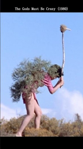 #movie The Gods Must Be Crazy II: Man vs. Ostrich – The Greatest Psychological Battle Ever Filmed