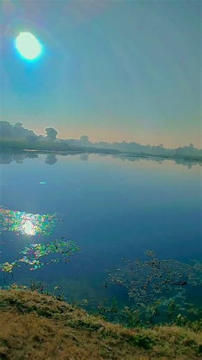 हमलोग घूमने के लिए आए sekho app download kare #trending #viral #new #video #funny #hukum_ba01