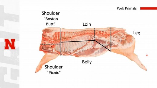 Pork Carcass Evaluation
