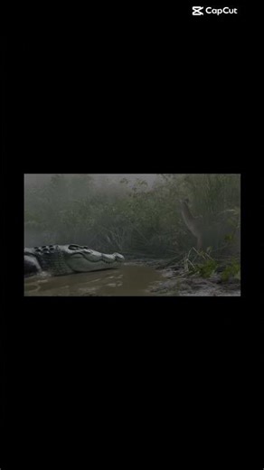 Deinosuchus: The Crocodile That Survived The Dinosaurs