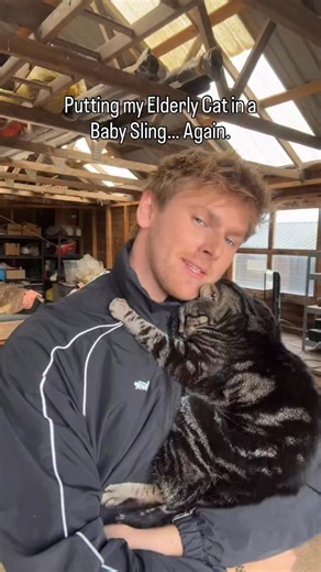 219K views · 60K reactions | I’m never gonna stop hahah! . . . . . . . . . . #cat #catsofinstagram #cats #catstagram #instacat #catlover #catoftheday #catlovers #cats_of_instagram #ilovemycat #catsagram #lovecats #catlife #tabbycat #cutecat #catlove #kittycat #instacats #caturday #vacations #instagramcats #cats_of_world #mycat #cutecats #lippy #catdad #cat_features | Harry & Lippy | Facebook