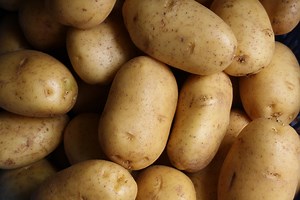 Simplot Expands to Europe While Idaho Workers Face Layoffs