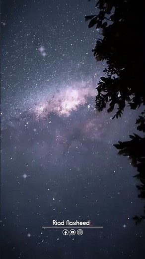 A Beautiful Islamic Music Humming (Ya Lili) #shorts #shortsfeed #nature #viral