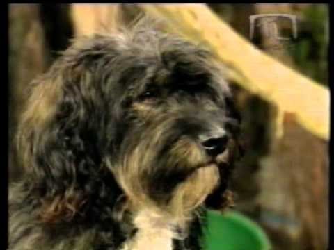 Marimar ~ Capitulo 19 (Completo) Español