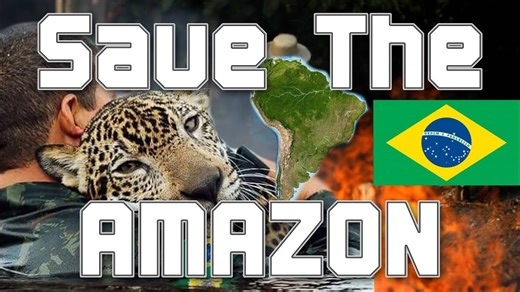 How to Save the Amazon: The Simple Truth You Need to Know