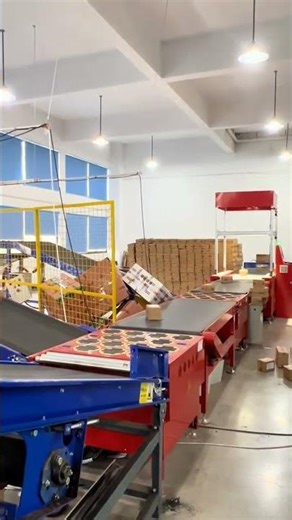 Automatic parcel sorting line, efficiency crushes manual work