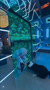 That's so cool! #virtualreality #visualstunning #trend