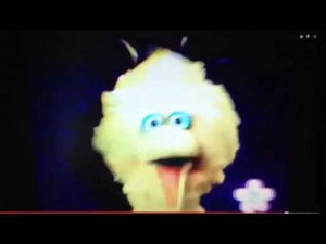 Sesame Workshop Big Bird Says Todda Loo