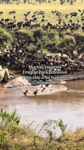 Emigration of Animal Species and Human Criminalization