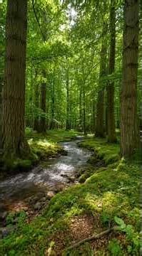 #asmr #sleep #睡眠 #導入 #睡眠導入