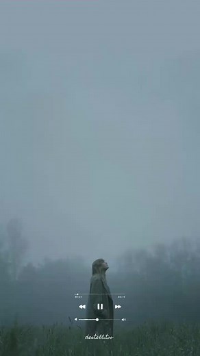 Taylor Swift - Exile ft Bon Iver Music Video