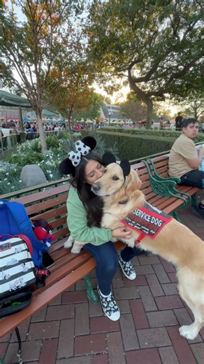 #disney #goldenretreiver #servicedog #disneyparks #disneyland #viral#shortsviral #shorts #dogshorts