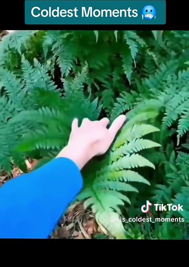 Chilling Coldest Moments That Will Leave You Frozen