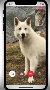 1.1K views · 79 reactions | Gem4me video calls are so comfortable that anyone can handle them. Download right now! Google Play: https://play.google.com/store/apps/details?id=com.gemtechnologies.gem4me&hl=ru App Store: https://apps.apple.com/ru/app/gem4me/id1032387040 Web version of Gem4me: https://web.gem4me.com/ | Gem Space | Facebook