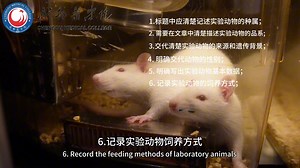 系列科普微视频"生物医学研究中的实验动物福利伦理"，第二集：“生物医学论文中动物福利的透明度与披露“