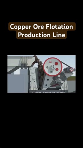 Copper Ore Flotation Production Plant #project #mining #copper #industry