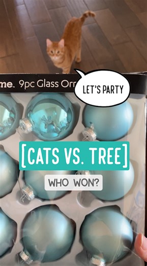 52K views · 4.7K reactions | Cats vs. Tree -- Who Won? Merry...