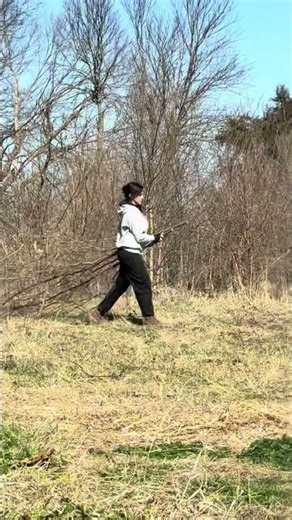 #yardwork #propertyreclamation#elbowgrease