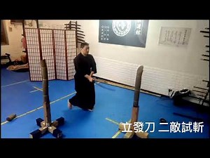 【討論】由形意觀點看日本居合 @綜合武術交流 哈啦板 - 巴哈姆特