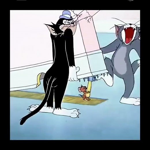 The little mouse has great skills, it's so much fun!