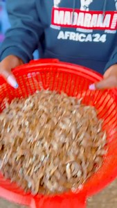 Tunaenda ama unabaki? | MTU