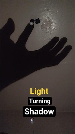 Shadow turns on a light #ghost #horror #creepy