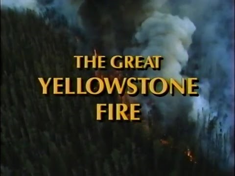 The Great Yellowstone Fire (1990)
