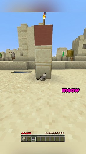 im the best at this game LOL #minecraft #minecraftmemes #funny #troll #tinymacdude #cheappickle